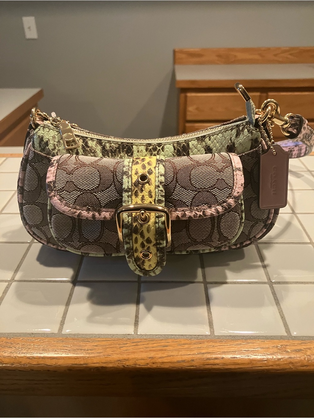 Coach Crossbody Bag in Signature Print with Green Snake-Print Accents - Picture 2 of 10